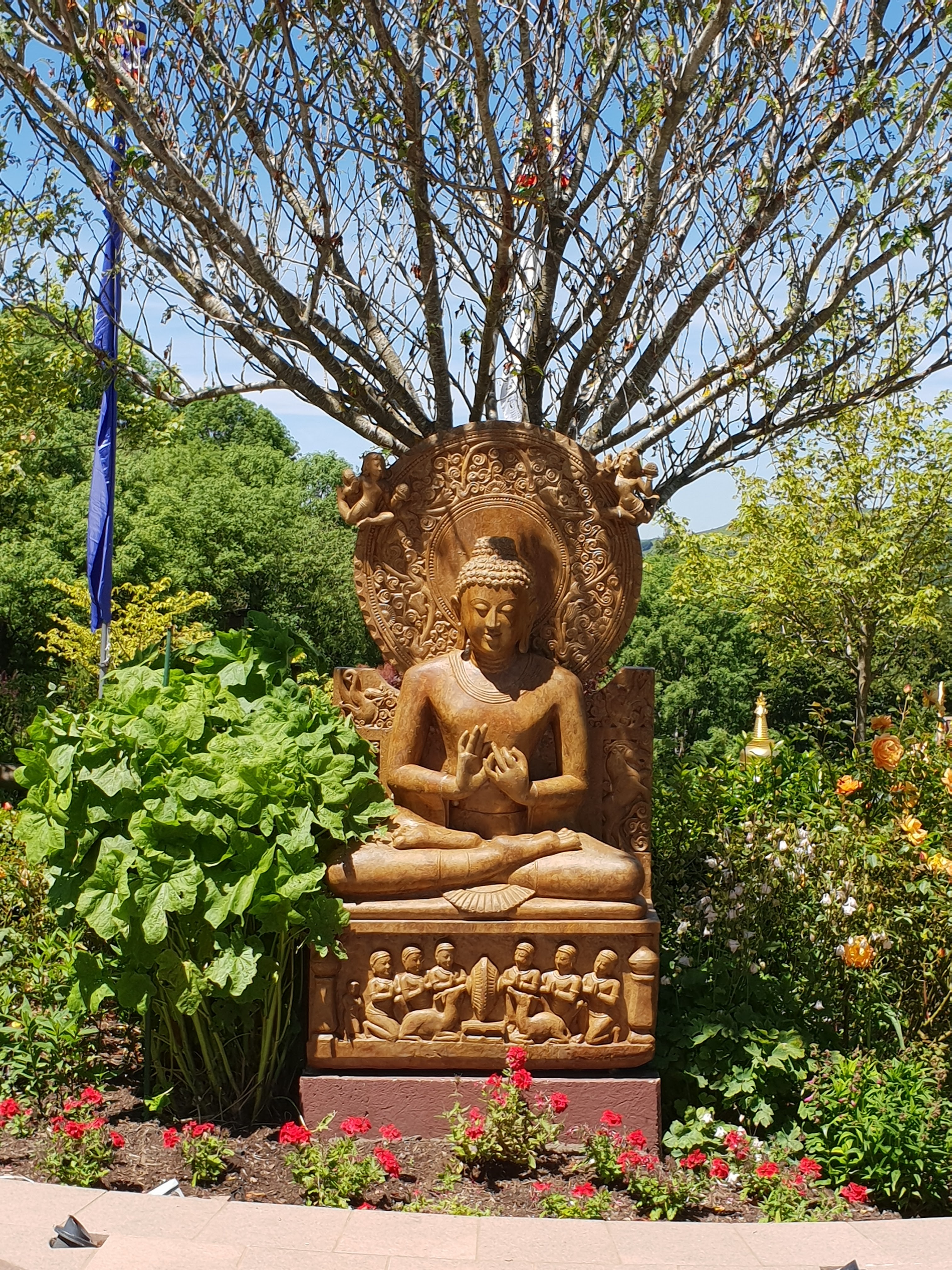 Photo n° 3 de l'avis de Isabelle. fait le 16/06/2019 à 15:53