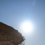 Photo n°2 de l'avis de João.. fait le 11/06/2022 à 19:46 sur le  Bar Homem Do Leme à Porto