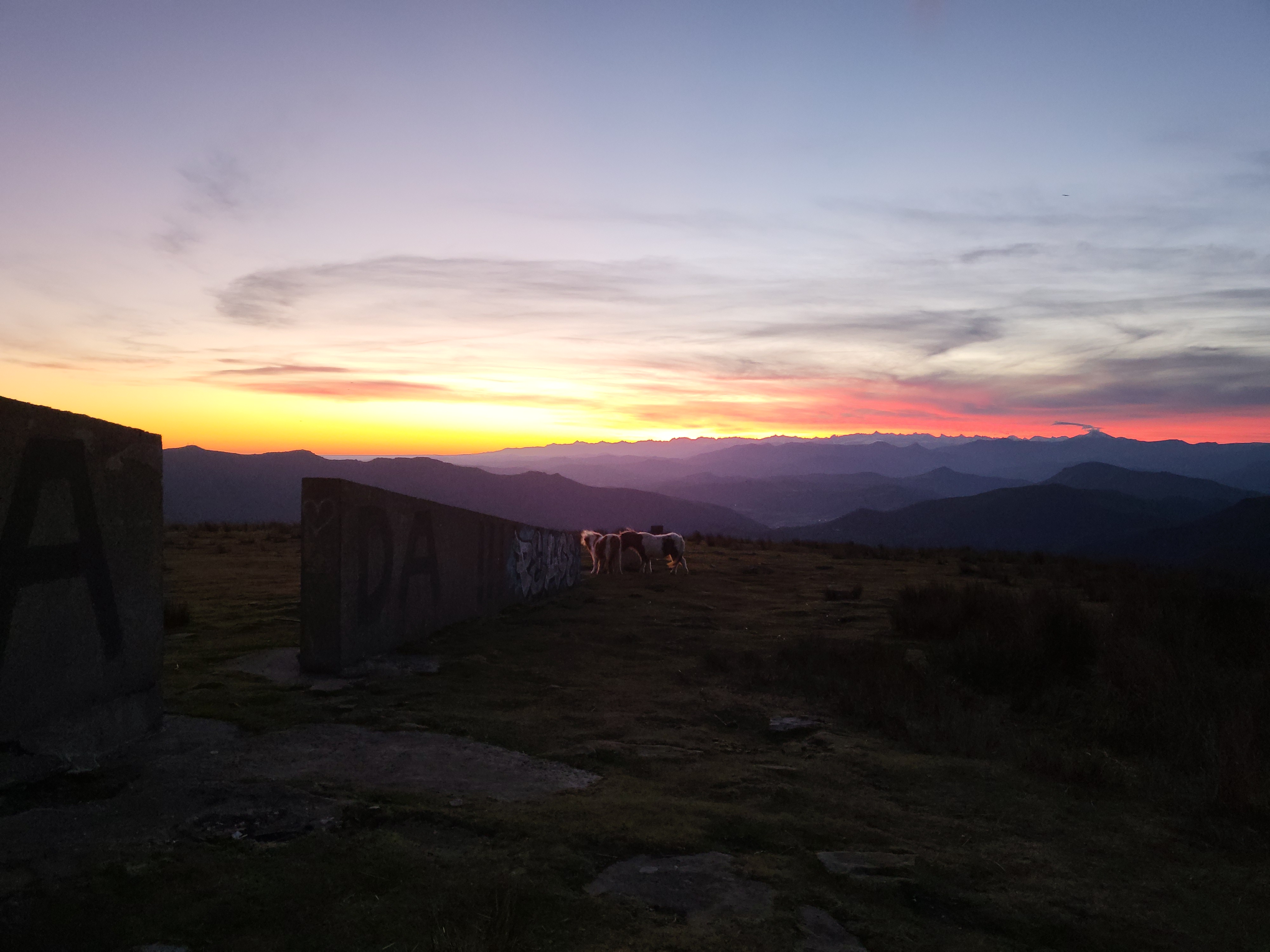 Photo n° 12 de l'avis de Jonathan.a fait le 20/11/2021 à 08:45