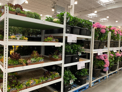 Warehouse store «Costco Wholesale», reviews and photos, 3801 Pelandale Ave, Modesto, CA 95356, USA