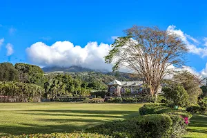 Distillerie Depaz image