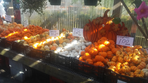 Garden Center «Laura Ann Farms», reviews and photos, 401 NY-17M, Monroe, NY 10950, USA