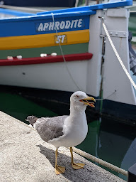 Photo n°47 de Les Marines à Palavas-les-Flots ()