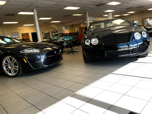 Used Car Dealer «Exotic Motorcars», reviews and photos, 41041 US Hwy 19 N, Tarpon Springs, FL 34689, USA