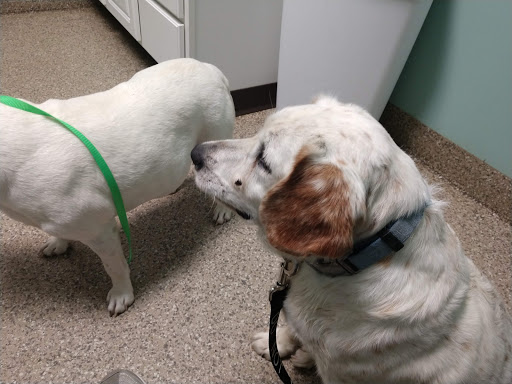 3097 S Bantam Rd, Bethel, OH 45106, USA