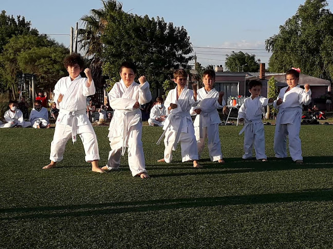 Opiniones de Academia de Karate Escuela Shotokan Maldonado en Maldonado - Escuela