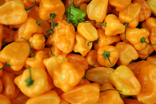 Grocery Store «Food Lion», reviews and photos, 5021 Trotwood Ave Ste 7, Columbia, TN 38401, USA