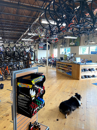 Bicycle Store «CycleMania», reviews and photos, 65 Cove St, Portland, ME 04101, USA