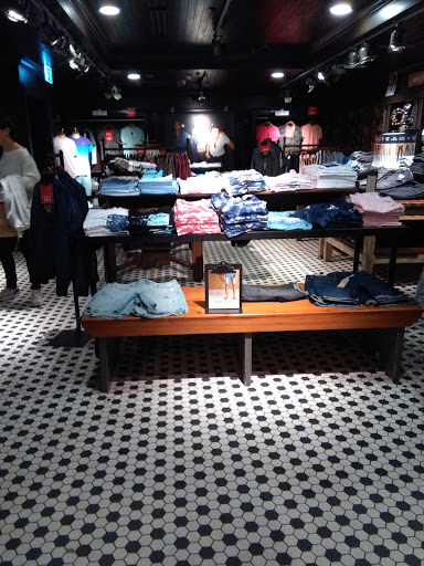 Hollister Co.