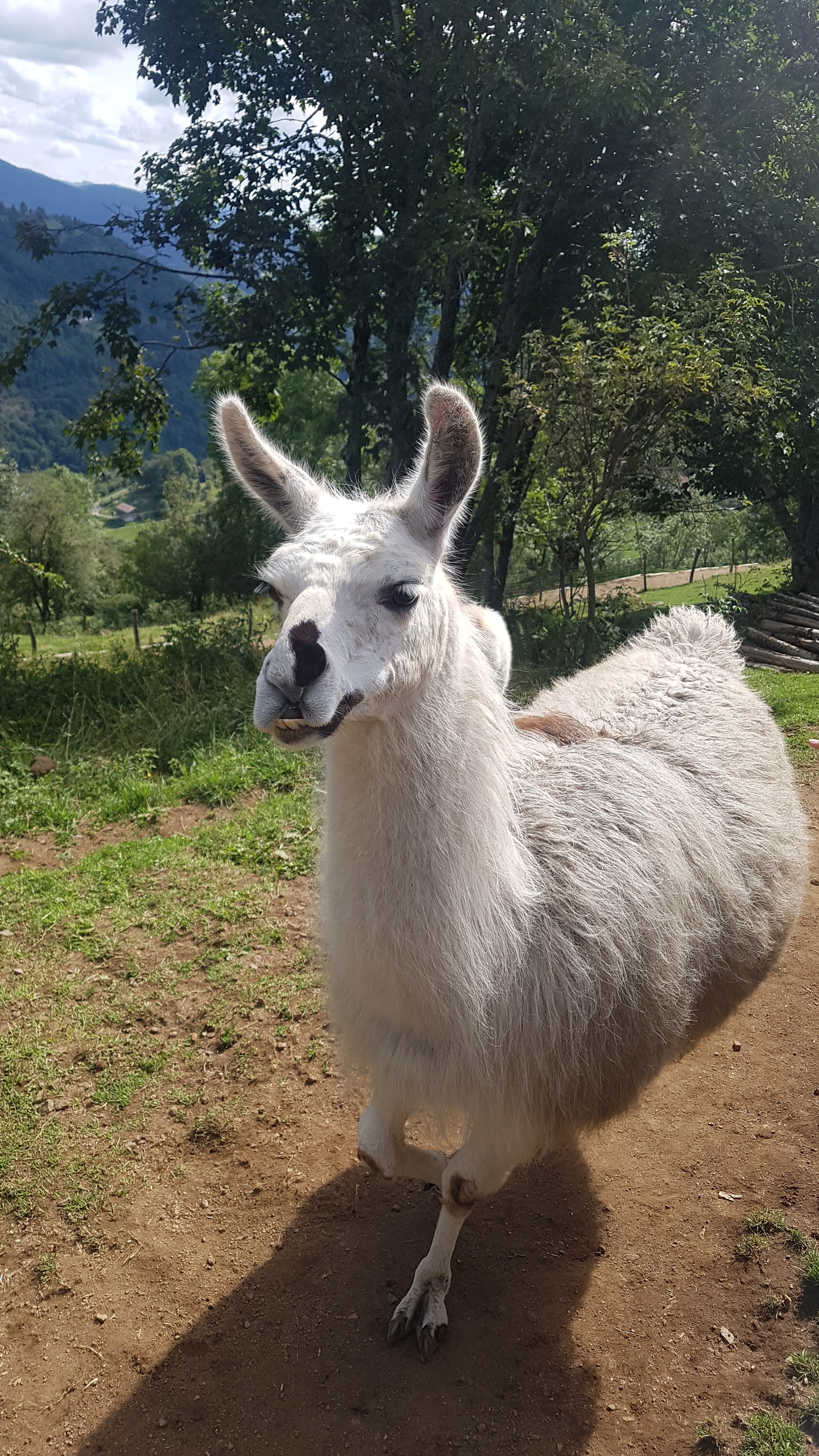 Photo n° 2 de l'avis de melanie_et.c fait le 13/08/2019 à 14:59