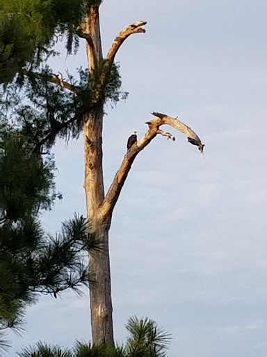 Golf Club «Heritage Golf Club», reviews and photos, 478 Heritage Dr, Pawleys Island, SC 29585, USA