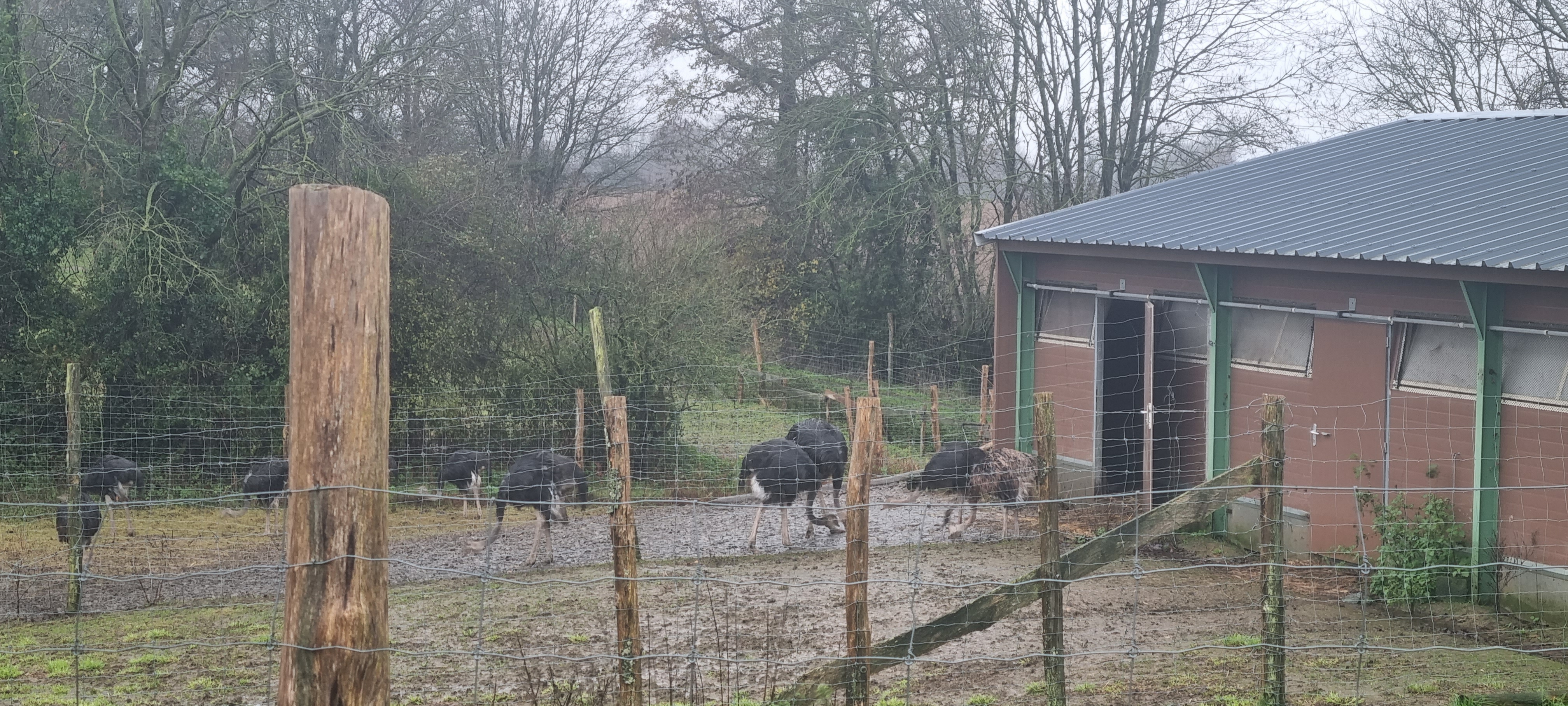 Photo n° 2 de l'avis de Stéphane.o fait le 16/12/2023 à 07:12