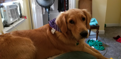 Pet Supply Store «Petco Animal Supplies», reviews and photos, 141 Tuckahoe Rd #130, Sewell, NJ 08080, USA