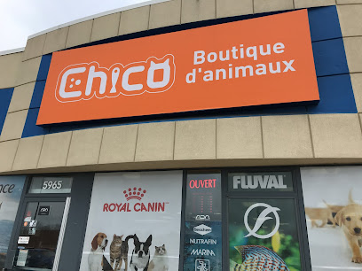 Chico - Boutique d'animaux | Trois-Rivières