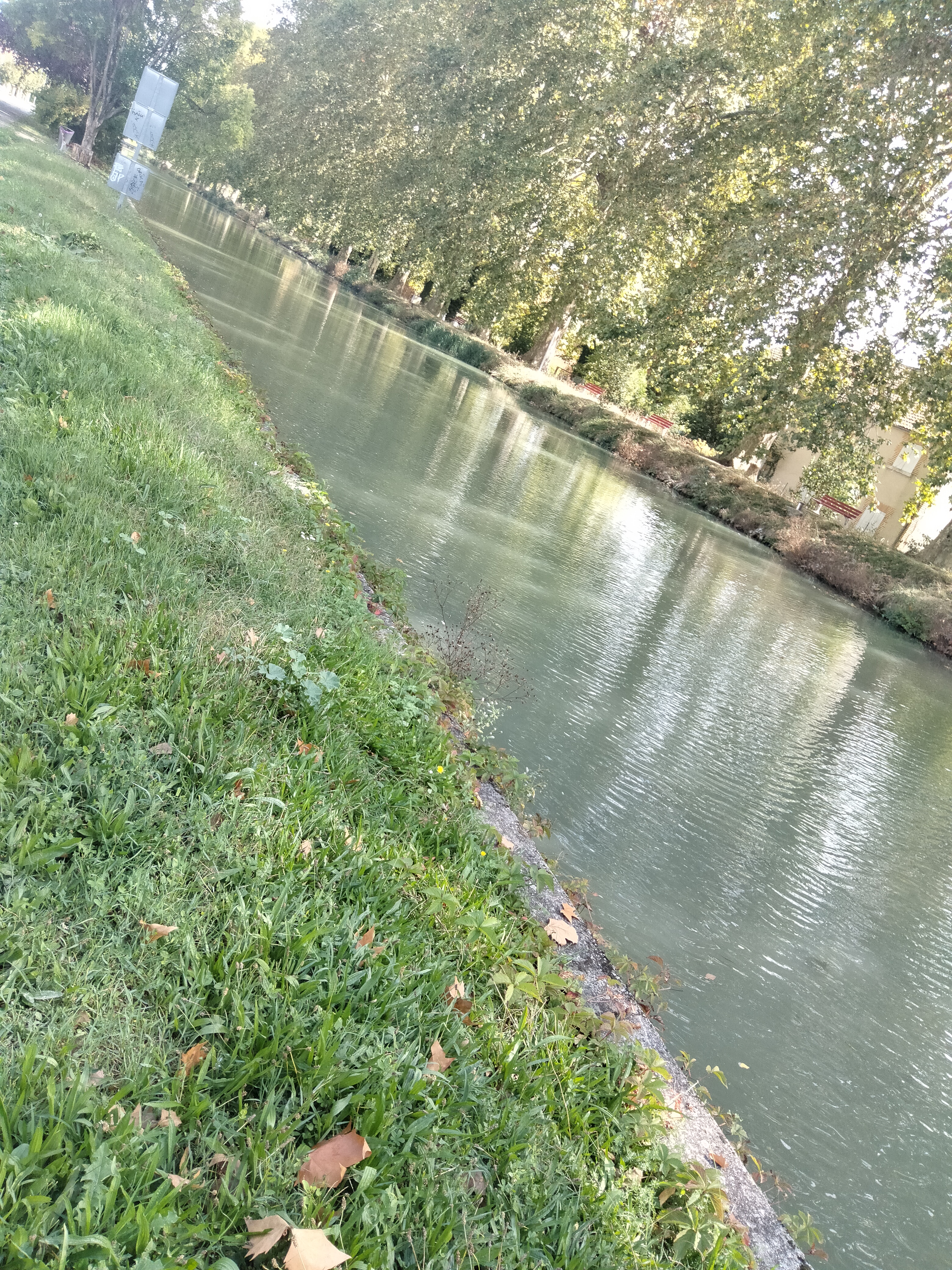Photo n° 1 de l'avis de Laurence.e fait le 02/11/2023 à 19:47