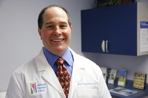 410 Maple Ave W #1, Vienna, VA 22180, USA