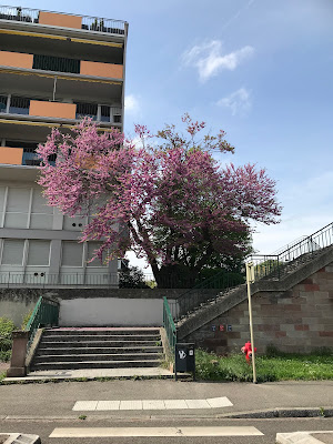 Ccav à Mulhouse