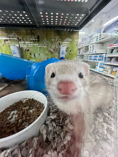 Pet Supply Store «Petco Animal Supplies», reviews and photos, 710 W 66th St, Richfield, MN 55423, USA