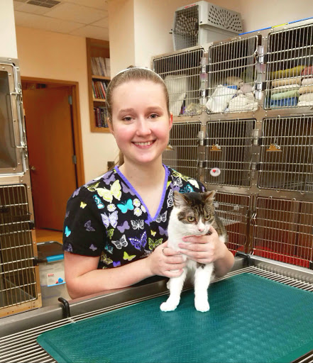 Argos Animal Hospital