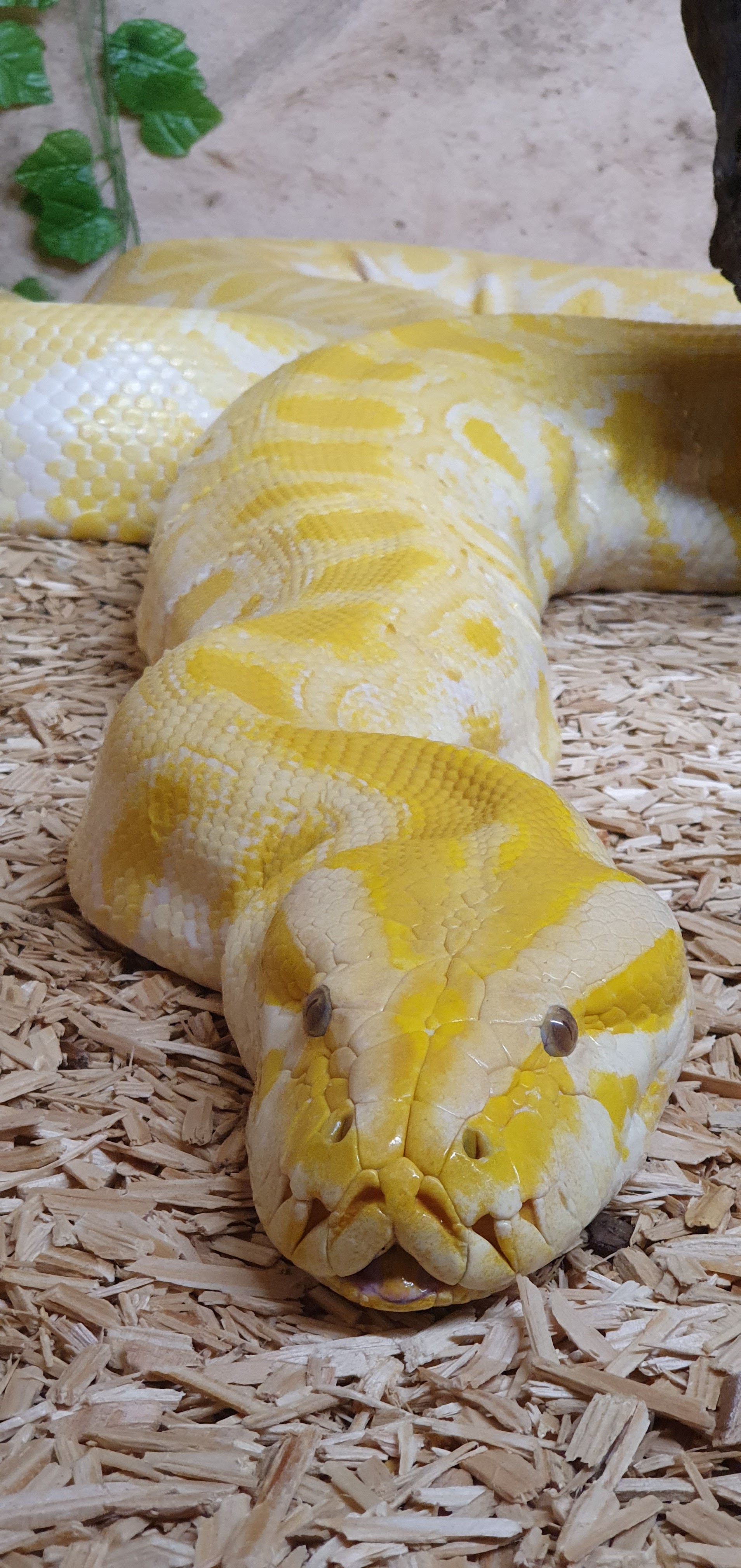 Photo n° 34 de l'avis de Laëtitia.E fait le 25/07/2020 à 00:11