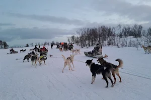 Husky Café image