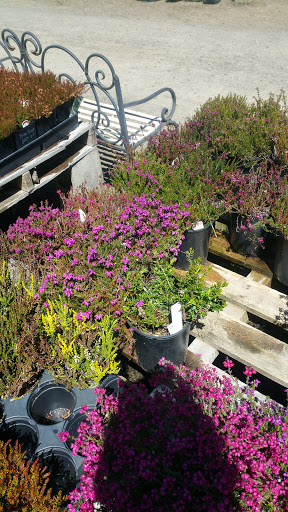 General Contractor «Laurel Bay Gardens Inc», reviews and photos, 88493 US-101, Florence, OR 97439, USA