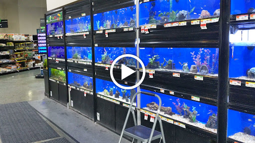 Pet Supply Store «Pet Supplies Plus», reviews and photos, 2091 Bronze Star Dr, Woodland, CA 95776, USA