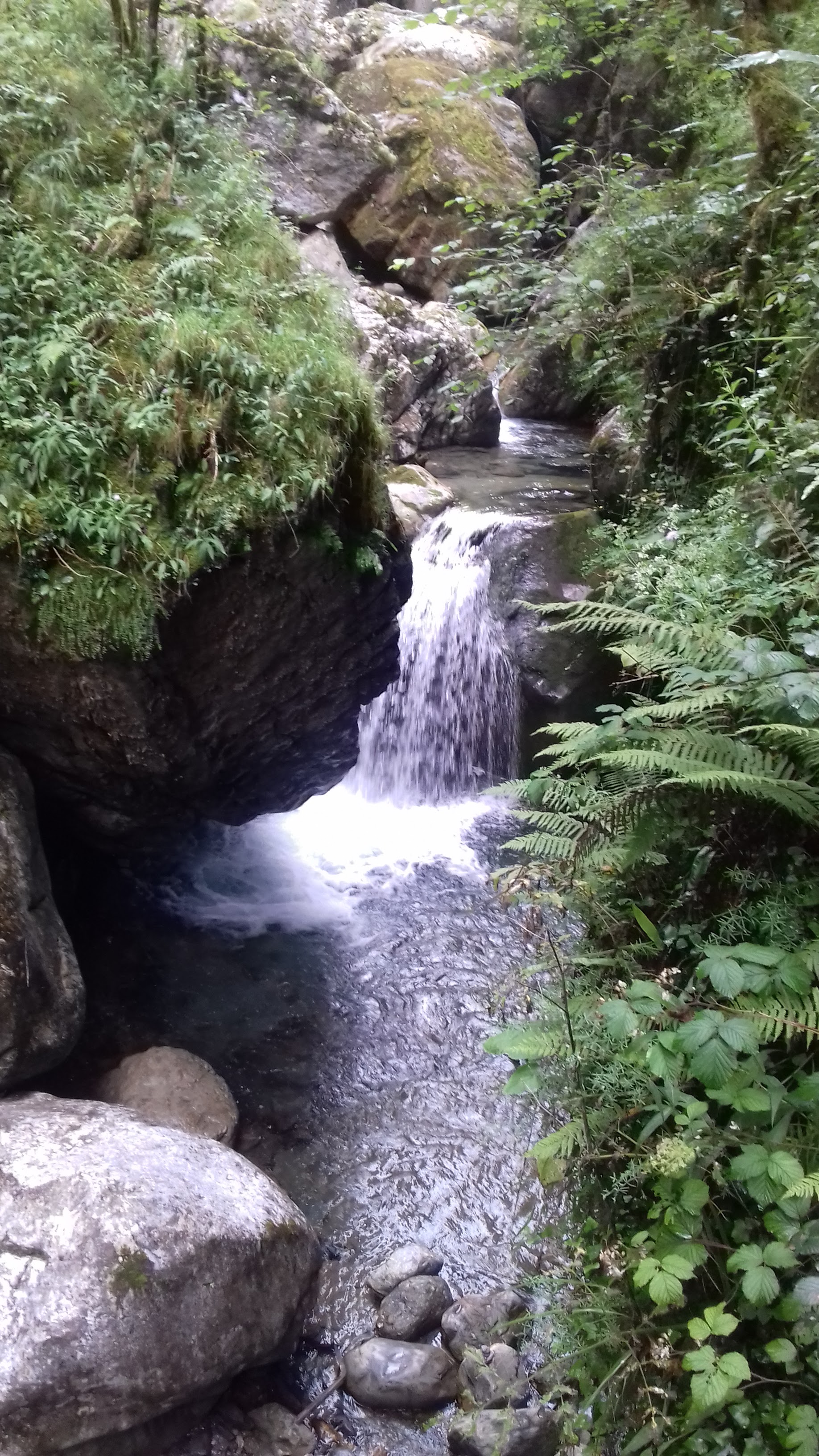 Photo n° 1 de l'avis de prevost.a fait le 11/07/2020 à 16:28
