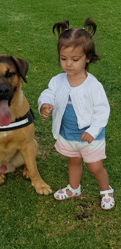 Centro Veterinario Arauna en Tablero ( El )