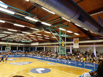 Hakro Arena