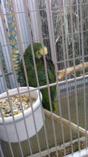 Pet Supply Store «El Granero Feed & Pet Supplies», reviews and photos, 2228 Church Ln, San Pablo, CA 94806, USA