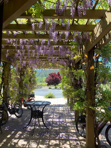 Bicycle Store «Calistoga Bikeshop», reviews and photos, 1318 Lincoln Ave, Calistoga, CA 94515, USA