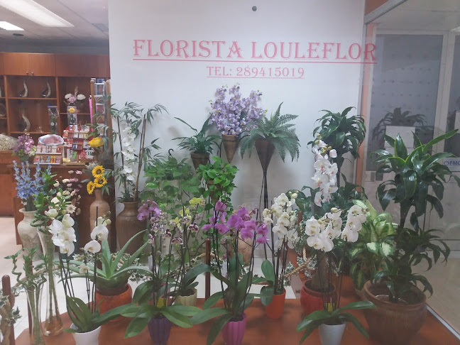 Avaliações doFlorista LouleFlor em Loulé - Floricultura