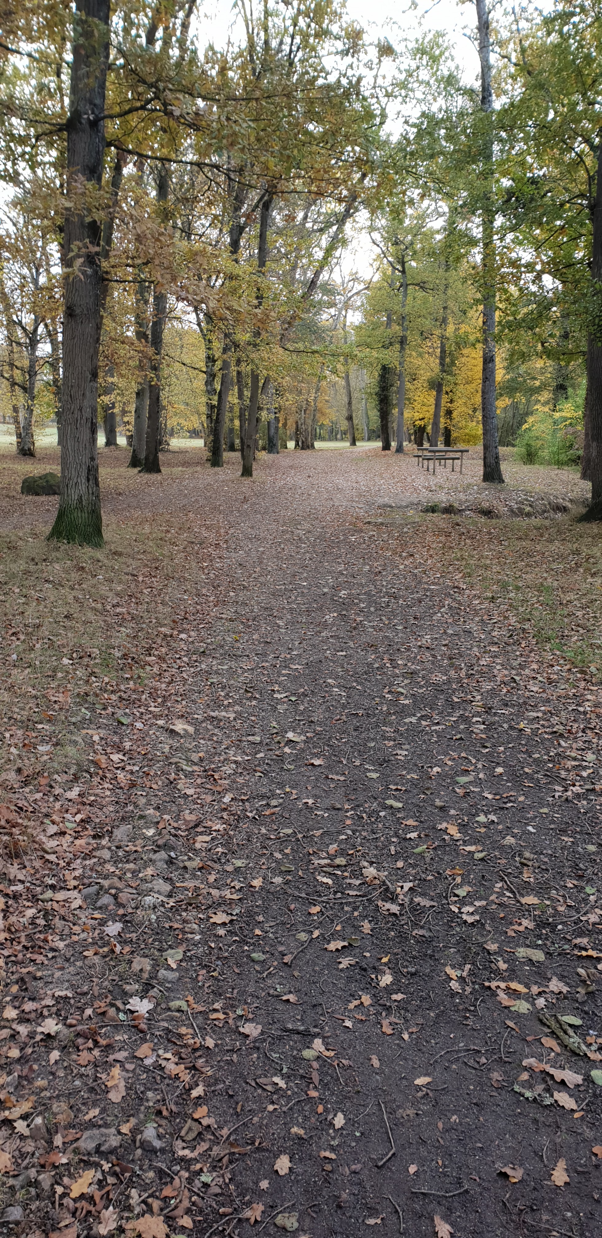 Photo n° 1 de l'avis de Aurore.A fait le 09/11/2018 à 12:29