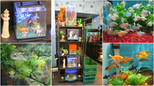 Pet Store «World Wide Aquarium & Pets», reviews and photos, 7043 Ridge Ave, Philadelphia, PA 19128, USA