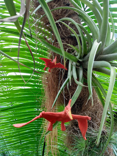 Discount Store «Walmart», reviews and photos, 4198 Nakoosa Trail, Madison, WI 53714, USA