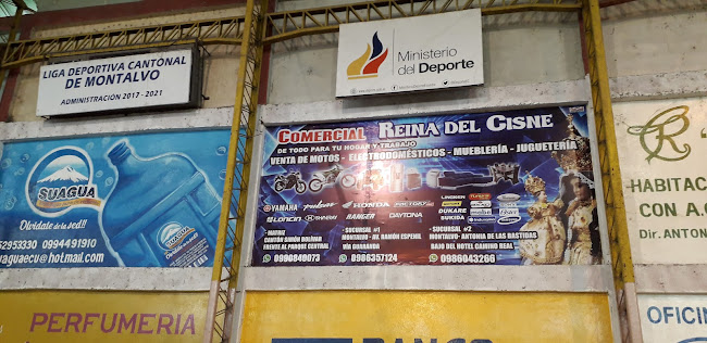 Coliseo de Deportes