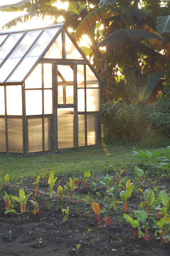 Farm «Sweetwater Organic Community Farm», reviews and photos, 6942 W Comanche Ave, Tampa, FL 33634, USA