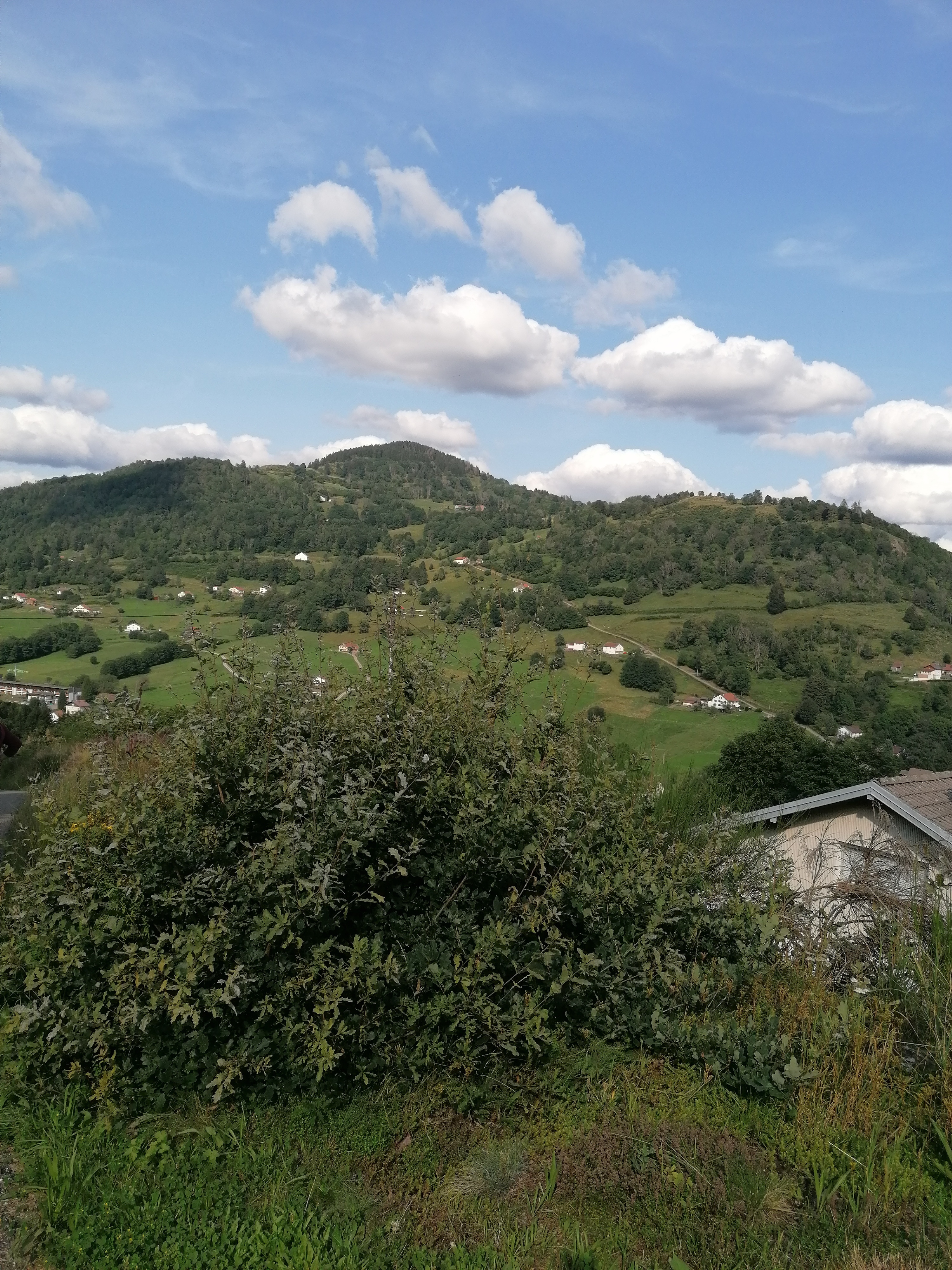 Photo n° 3 de l'avis de CARO.r fait le 20/08/2021 à 16:04