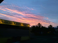 Dogs Will Play - Photo 2 - Car repair in Concord, CA, Concord