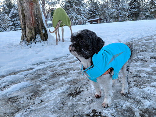 Pet Supply Store «All The Best Pet Care», reviews and photos, 1048 116th Ave NE, Bellevue, WA 98004, USA