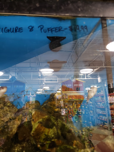 Pet Store «Pet Goods», reviews and photos, 1125 Central Park Ave, Scarsdale, NY 10583, USA