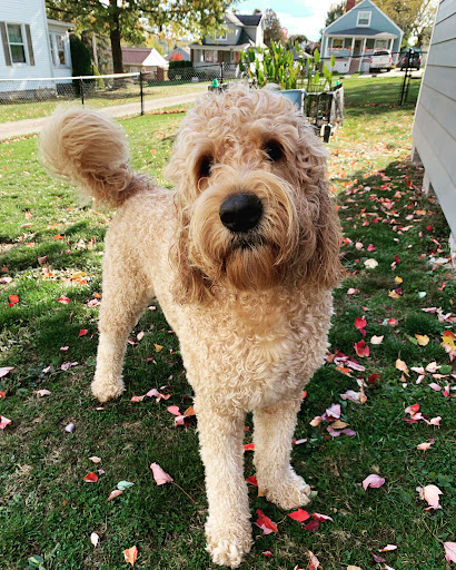 6787 Lincoln Hwy, Jeannette, PA 15644, USA