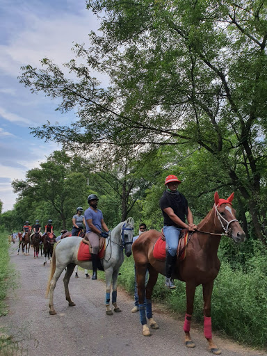 Warriors Horse Riding Academy