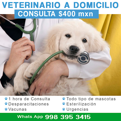 MYVET Clínica Veterinaria. Veterinario en Cancun