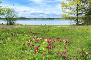 Ängsö National Park image