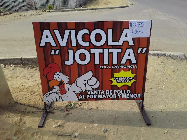 AVICOLA "JOTITA" - Tienda de ultramarinos