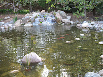 Ponderiffic Adventures - Photo 4 - Car repair in Indian Wells, CA, Indio