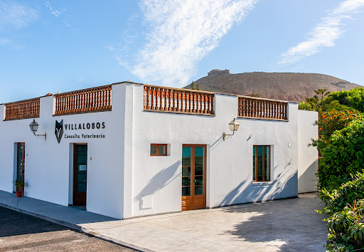 Villalobos Consulta Veterinaria en Teguise
