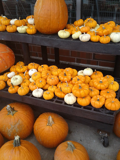 Grocery Store «Giant Food Stores», reviews and photos, 2670 Egypt Rd, Norristown, PA 19403, USA